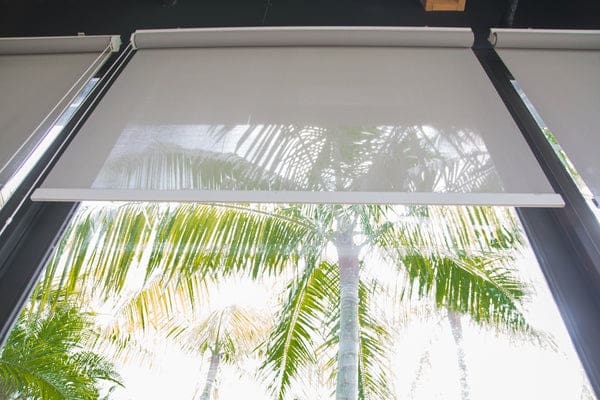 Solar roller Shades 5% openness palm view